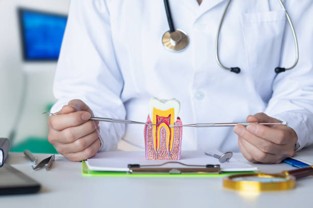Best Pediatric Emergency Dentist in Roaming Shores, OH